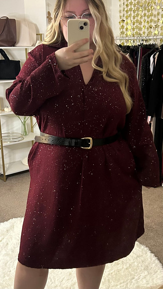 Sparkle Oversized Longsleeve Blouse Dress
